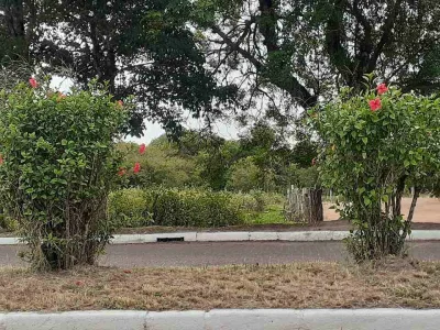 Terreno no Coração das 3vendas