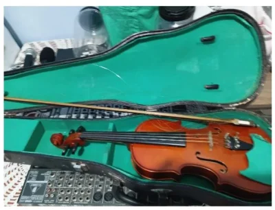 viollino