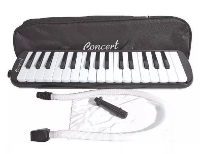 Escaleta 32 Teclas Acoustic