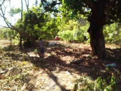 Vendo Exelente Terreno no Iguape