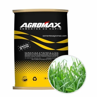 Sementes de Capim Panicum Maximum Tanzânia Peletizada 10kg