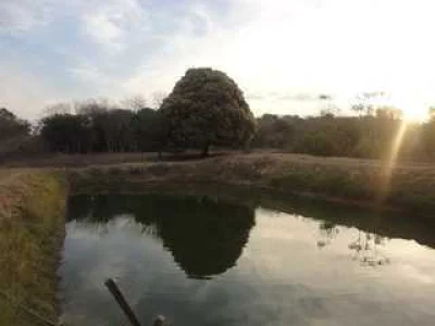 Chácara com Tanques de Peixes