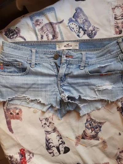 Short Novo da Hollister
