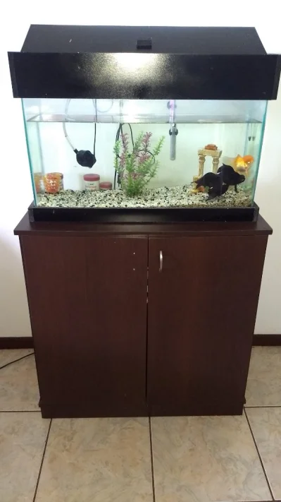 Aquário 80 Litros