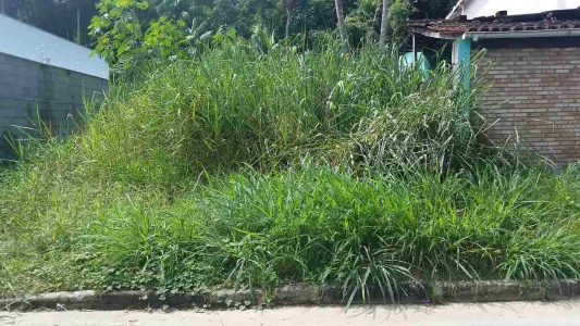 Ref. M2053 Terreno Massaguaçu Caraguatatuba