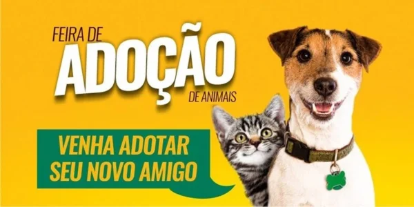 Feira de Adoção de Animais