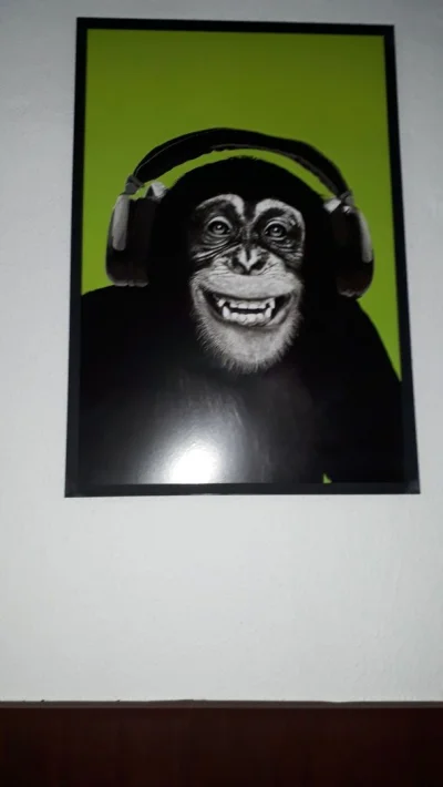 Quadros Decorativos Grandes