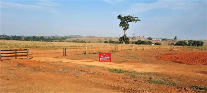 Arrendamento para Lavoura em Juara MT