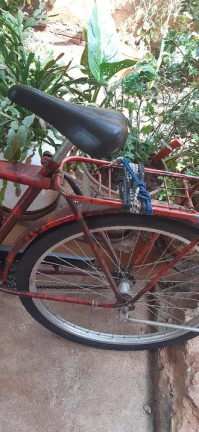 Bicicleta Adulto