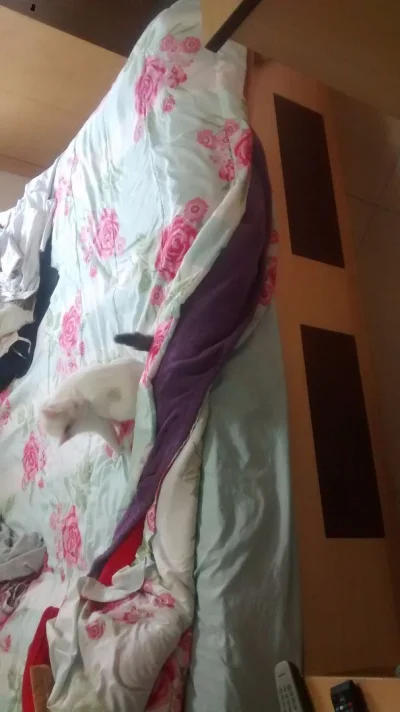 Cama Novíssima