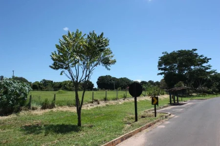 Terreno ótima Oportunidade para Seu Negócio