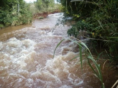 Xácara no Rio Pirapó