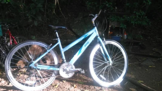 Bicicleta Jeep Ladies Compass Fem 700c