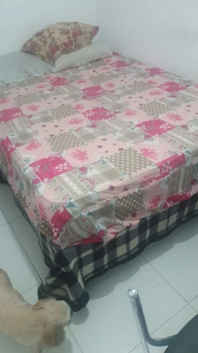 Tá Saindo Quase de Graça