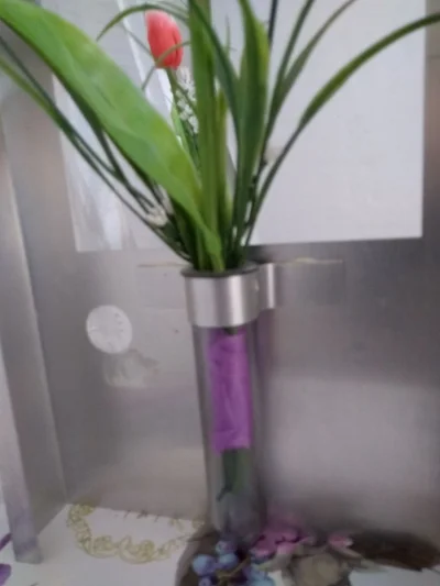 Suporte de Parede para Flor