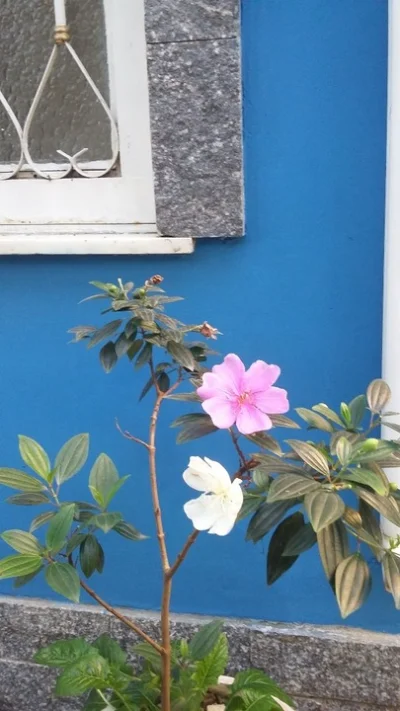 Kitinet Mobiliada em Piedade na Zona Norte