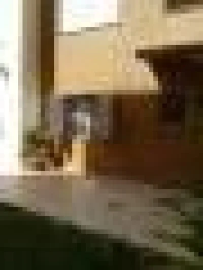 Alugo AP Térreo 1 Dorm