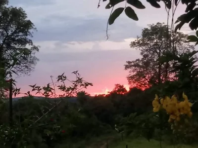 Promoção 4 Hectares Terreno Sítio Chácara Rancho Roça à Venda Próx. SA