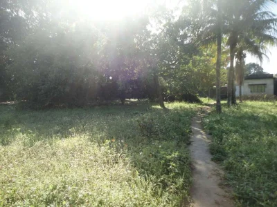 * Dois Terrenos em Vista Alegre, 1350 M2, R$ 220 Mil ! *