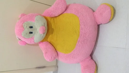 Lindo Almofadão