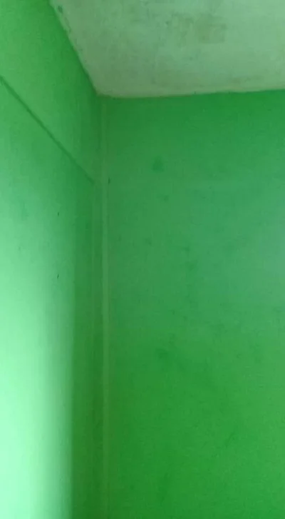 Paulo Serviços de Pinturas e Pisos em Geral
