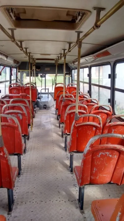 ônibus Escolar
