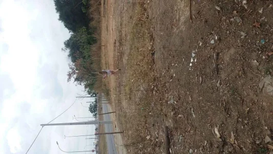 Terrenos Parque das Acácias
