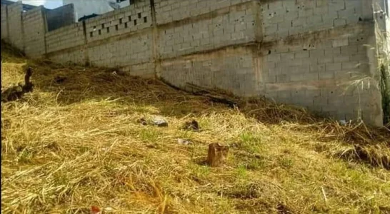 Vende-se Terreno Bem Localizado