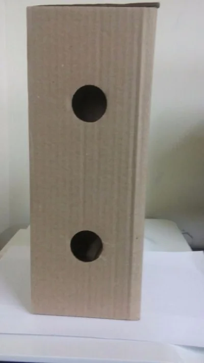 Caixa para Picolé (36/40un de Picolé)