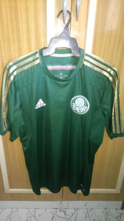 Camisa do Palmeiras 100 Anos