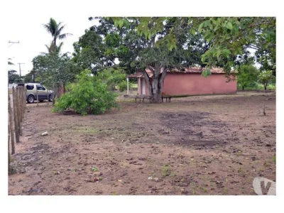 Vende-se uma Roça na Pedra Ferrada Oportunidade