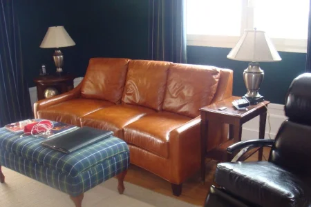 Sofa de Couro