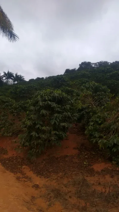 Vende -se Terreno Localizado na Pedreira- Irupi E.s