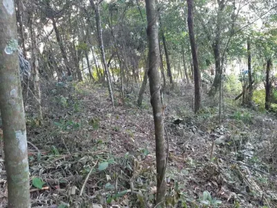 Terreno Condomínio do Rosário Cajamar