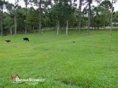 Chácara Corredeiras - Fragosos - Campo Alegre