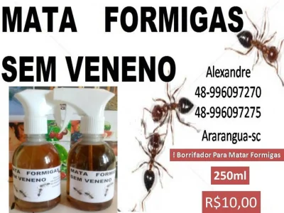 Borrifador para Matar Formiga, sem Veneno!