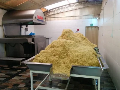 Batatas Fritas, Fábrica de Lucros