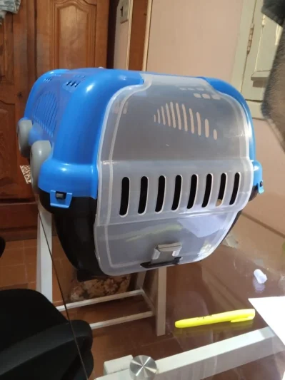 Caixa de Transporte Casinha para Cachorro Pequeno
