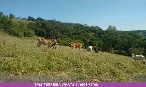 Terreno 1000m2 Santa Isabel