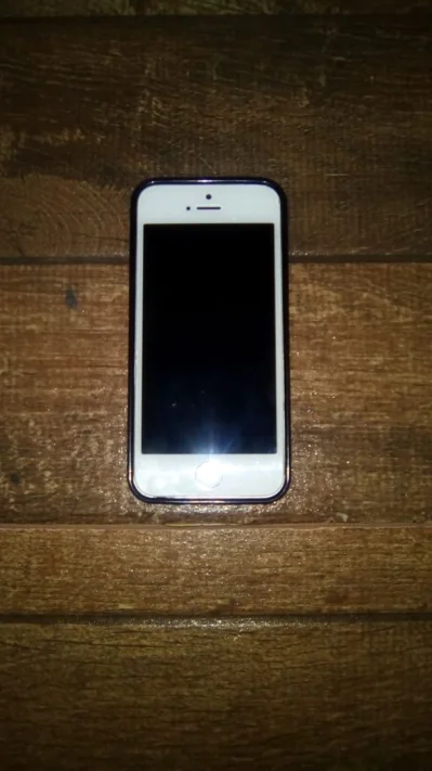 Celular Iphone 5s