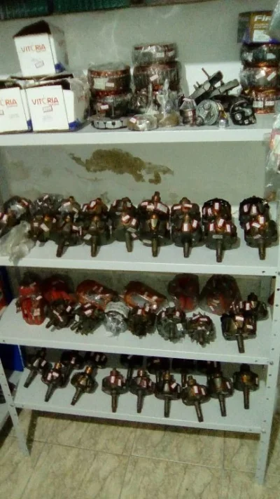 Induzidos