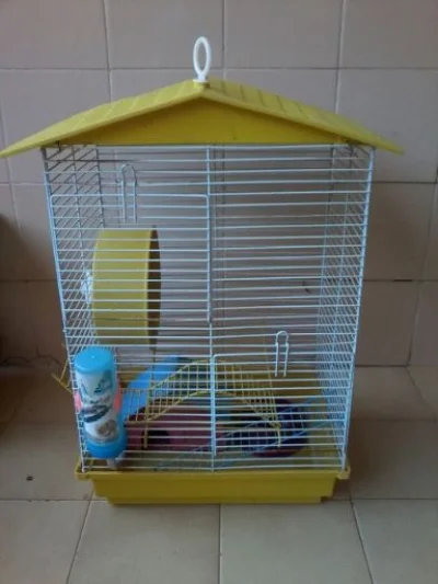 Gaiola para Hamster Amarela com Telhado Amarelo