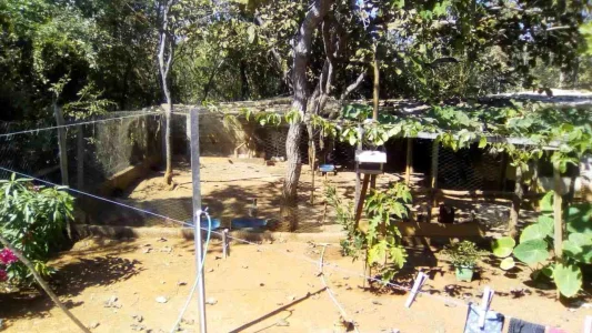 Vendo ou Troco Lote Condomínio Lago dos Cisnes