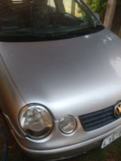 Polo 2006