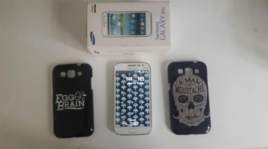 Samsung Galaxy Win Duos