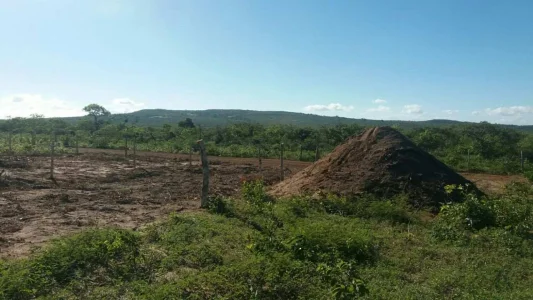 Terreno no Brás Antes do Posto Sabrina em Caetité