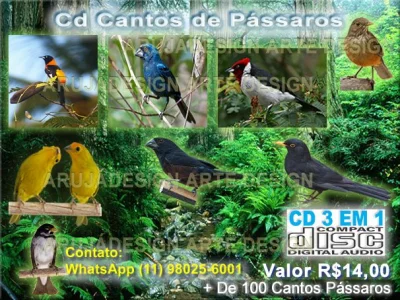 CD Cantos de Pássaros