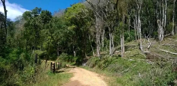 Aceito Veículos ou Imóvel Financiado