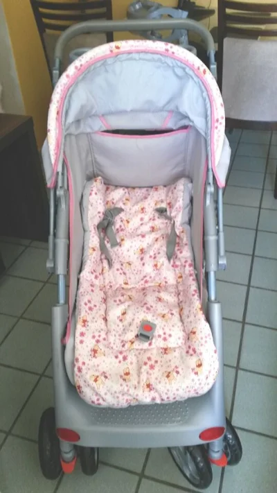 Carrinho de Bebê Minnie