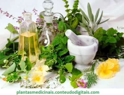 Plantas Medicinais